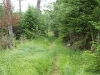 Trail approaching beaver pond